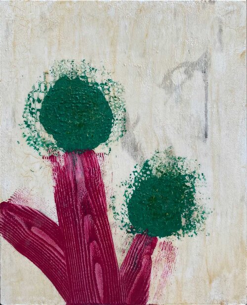 Côtes de bette, 2024