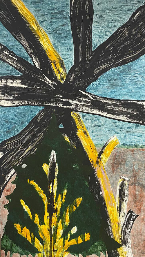 Adventice, ce qui ne fait naturellement pas partie de la chose, 2024